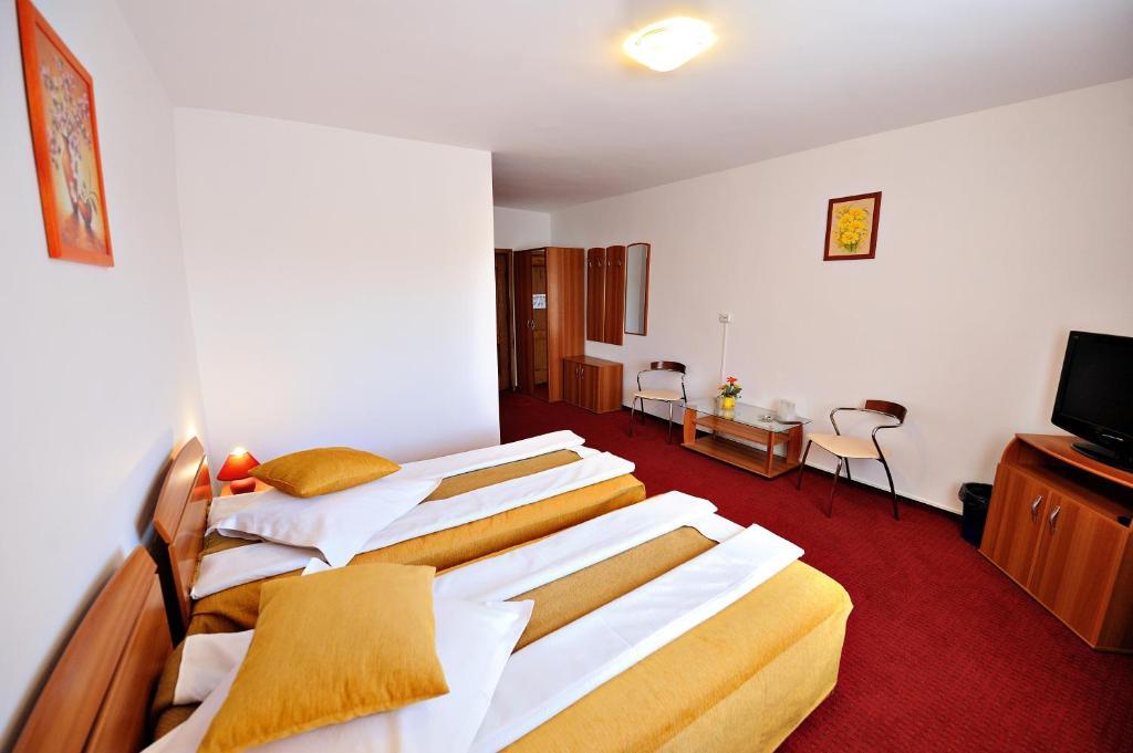 Motel Confort Floreşti 部屋 写真
